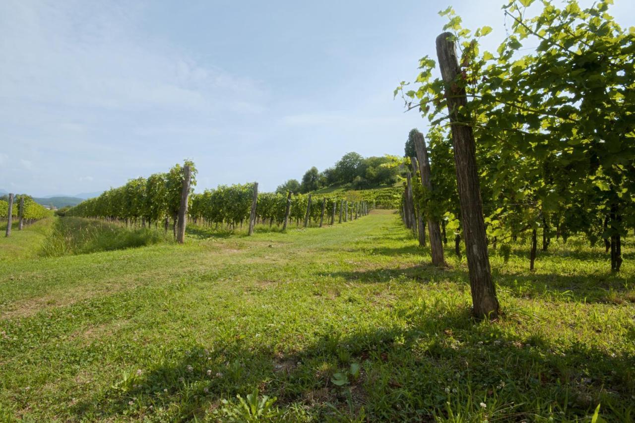 Alloggio Agrituristico Corte San Biagio Corno di Rosazzo Exterior foto