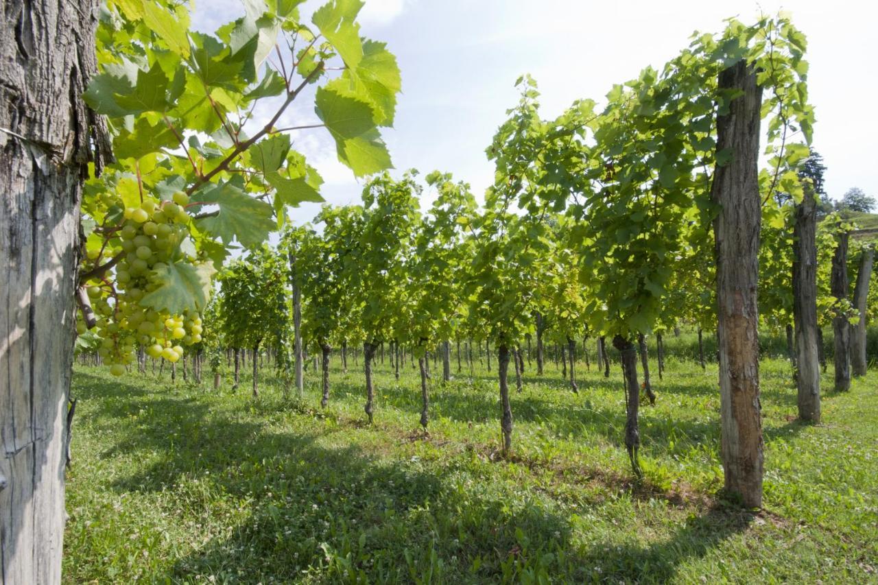 Alloggio Agrituristico Corte San Biagio Corno di Rosazzo Exterior foto